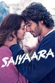 Saiyaara (2025) Hindi HDTS